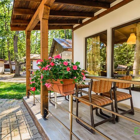 Elmona Villas Kamchia  Oda fotoğraf